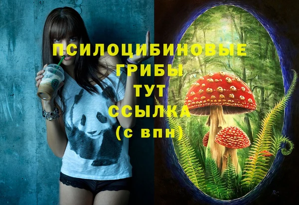 мет Абаза
