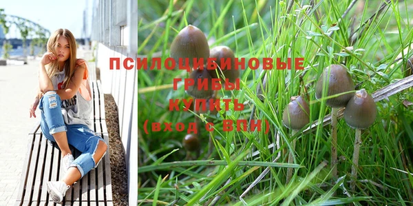 мет Абаза
