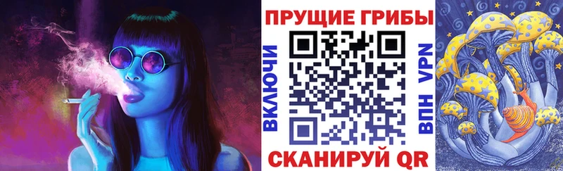 купить наркотики сайты  MEGA ссылки  Галлюциногенные грибы Psilocybine cubensis  Фокино 